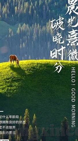 糖心vlog免费版污社交-净心内容探索，幸福的自由与界限——网上分享的多元视角探索
